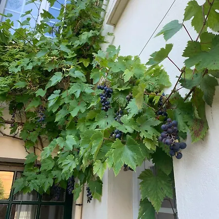 Appartement Alienor Montivilliers