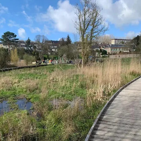 Alienor * Montivilliers