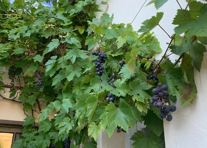 Appartement Alienor Montivilliers